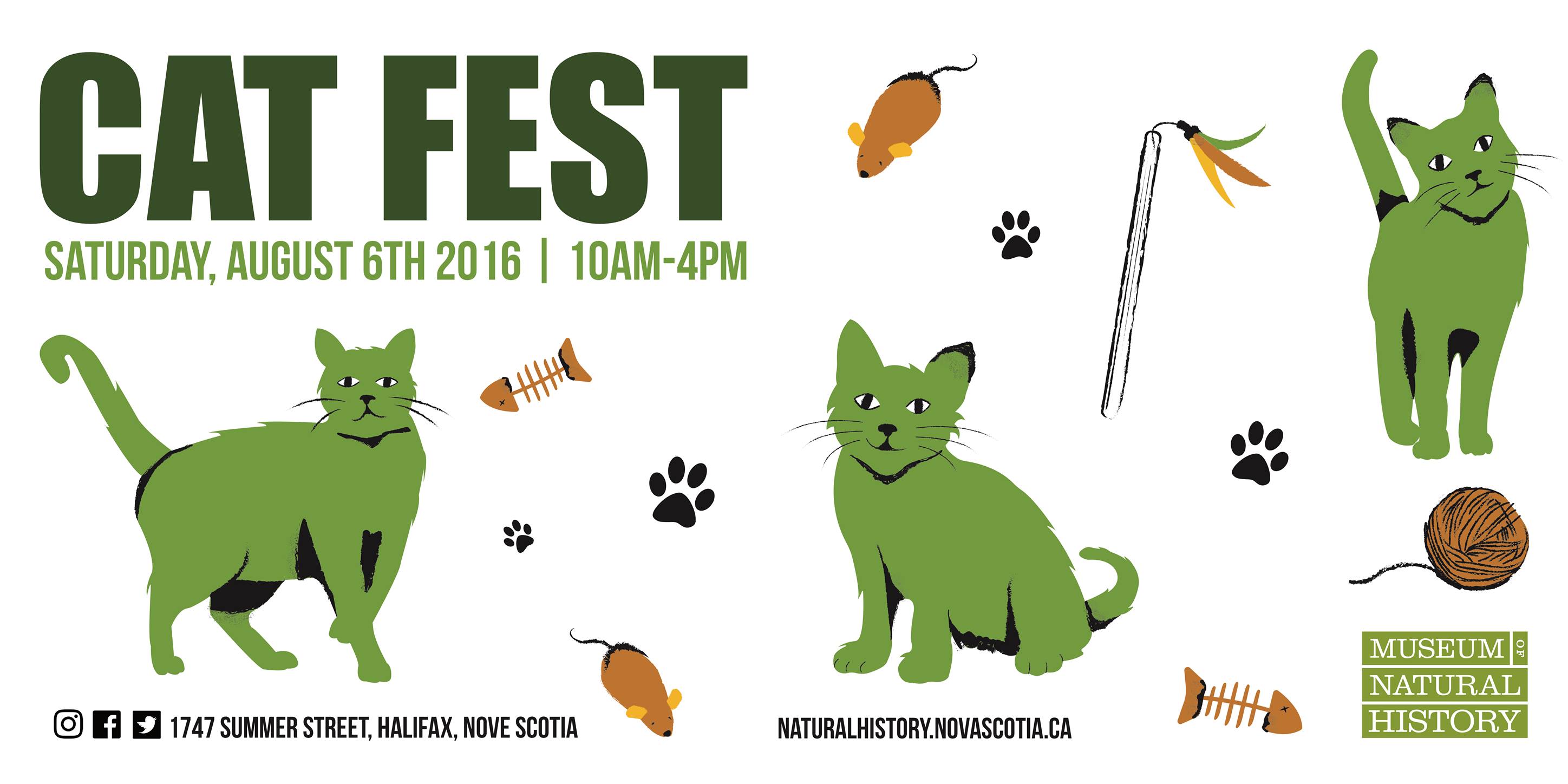 Frisky Business! Cat Fest at the Museum Family Fun Halifax