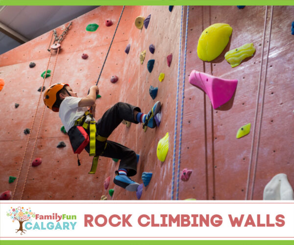 Rock Climbing Walls (Family Fun Calgary)