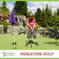 Miniature Golf (Family Fun Calgary)