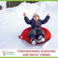 Toboggan, Sled and Snow Tube (Family Fun Calgary)