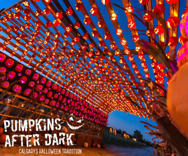 Pumpkins After Dark (Family Fun Calgary)