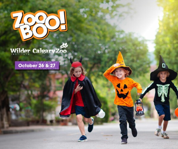 ZooBOO Wilder Institute/Calgary Zoo Halloween (Family Fun Calgary)