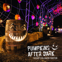 Pumpkins After Dark (Family Fun Calgary)