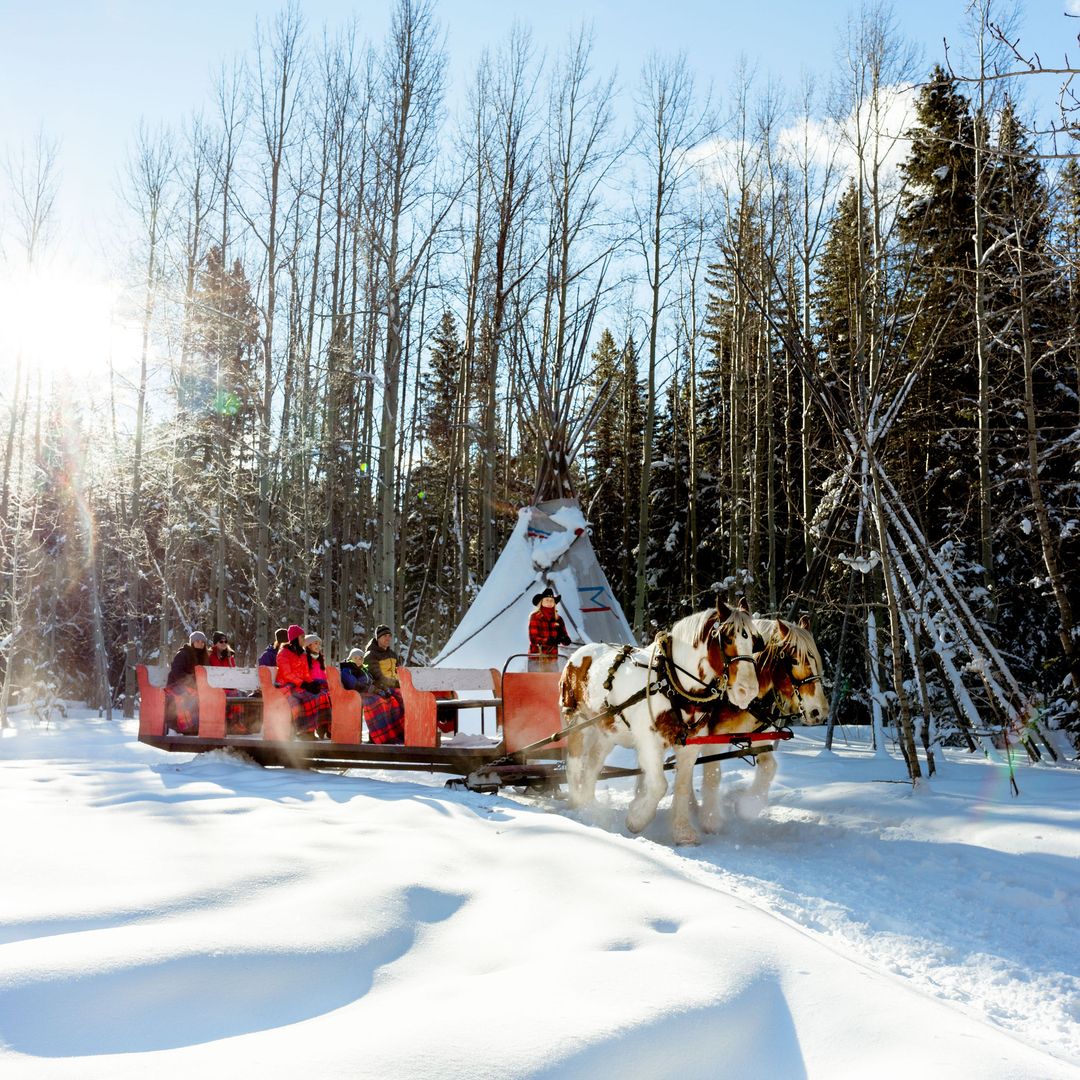 Best Christmas Events in Calgary Family Fun Calgary