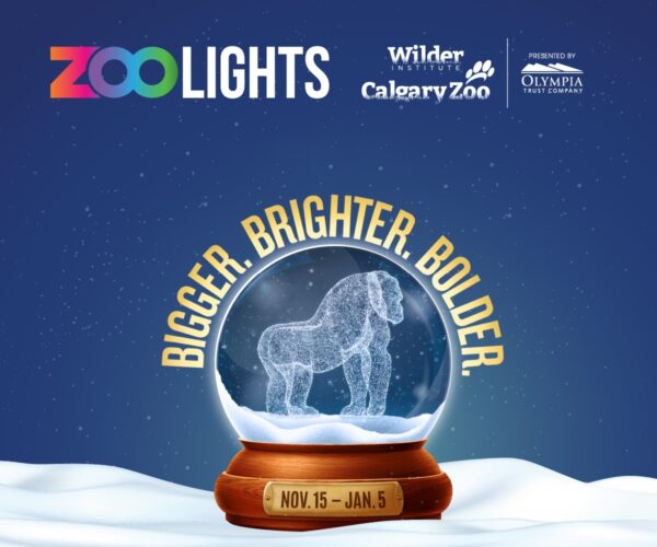 Wilder Institute/Calgary Zoo ZOOLIGHTS (Family Fun Calgary)