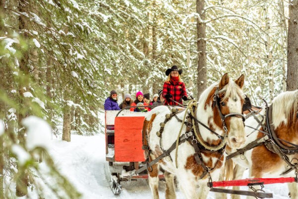 Boundary Ranch Christmas (Family Fun Calgary)