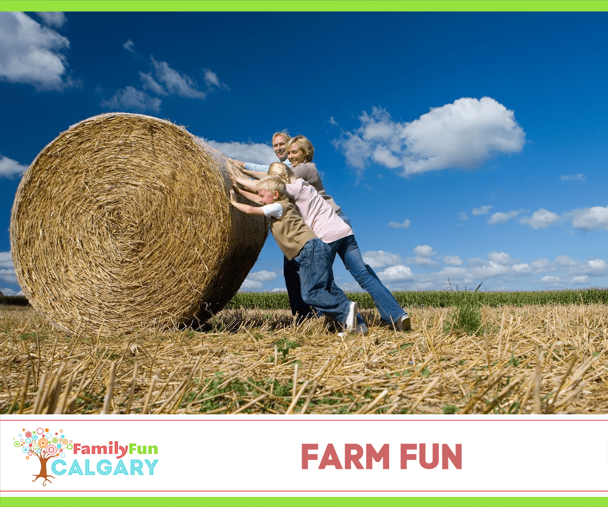 Farm Fun (Family Fun Calgary)