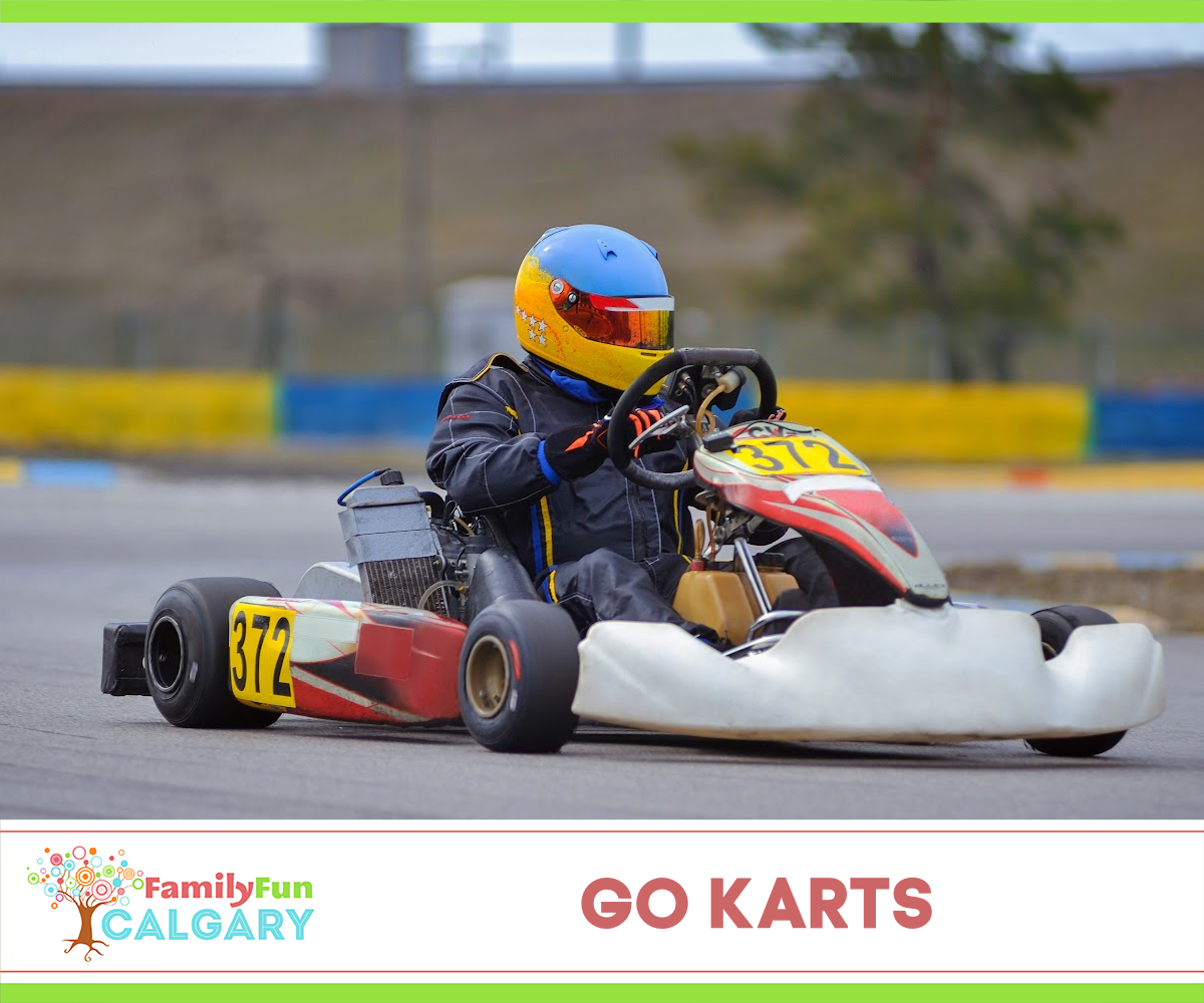 Go Karts (Family Fun Calgary)