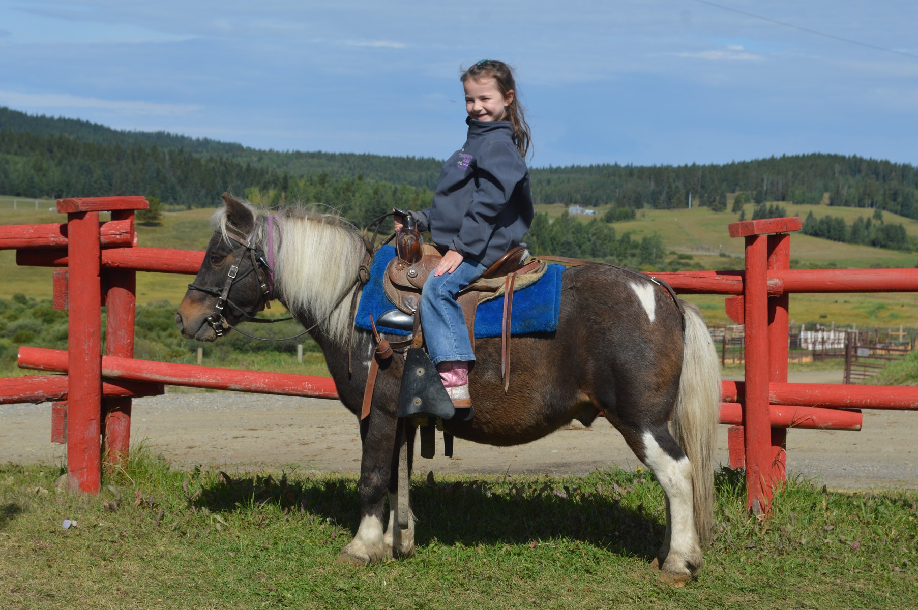 Bar JO Ranch Summer Camps | Family Fun Calgary