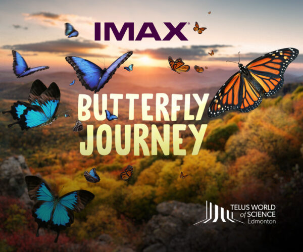 Butterfly Journey IMAX TELUS World of Science Edmonton