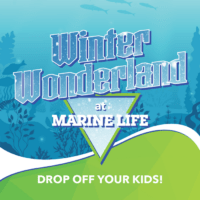 WEM Winter Wonderland at Marine Life