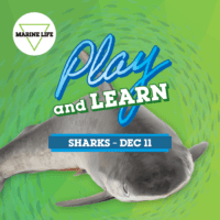 West Edmonton Mall Play and Learn Marine Life