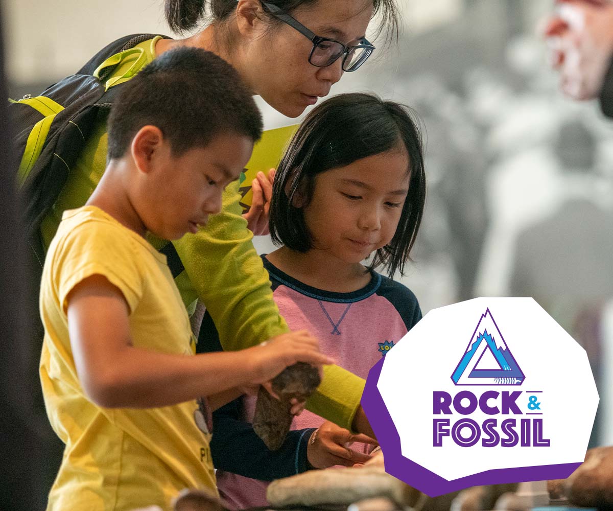 APEGA Rock & Fossil Clinic 2024