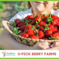 IG U-Pick Berry Farms (1)