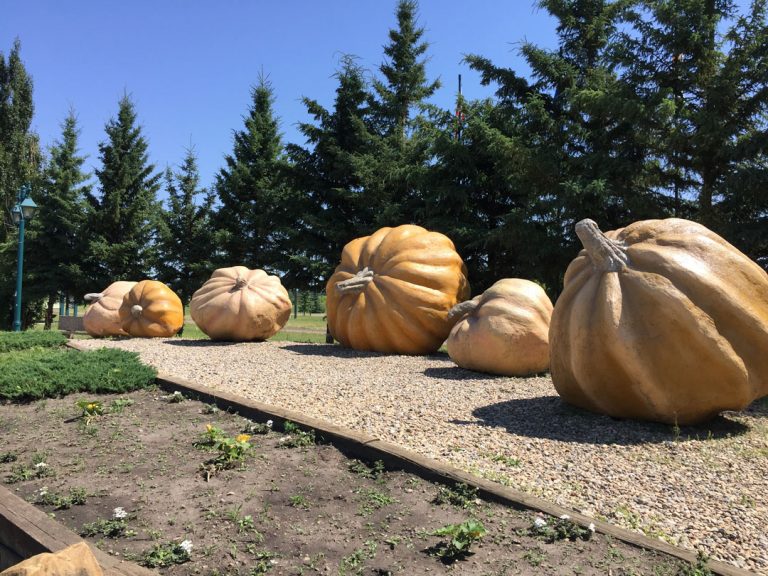 CANCELLED Smoky Lake Pumpkin Fair Family Fun Edmonton