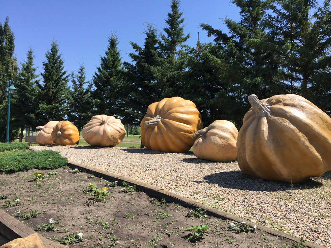 Smoky Lake Pumpkin Festival 2024 Lineup Kathi Maurise