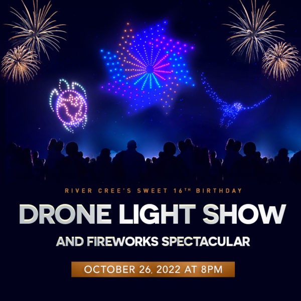 Drone Light Show & Fireworks Spectacular Family Fun Edmonton