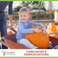 Corn Mazes & Pumpkin Patches