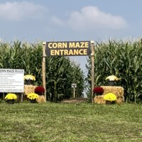 Keato Meadow Corn Maze