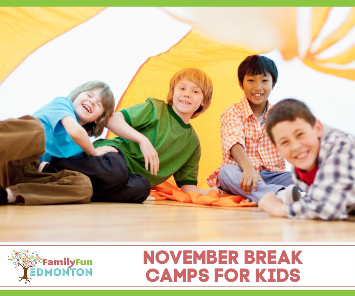 November Break PD Day Camps Edmonton