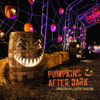 Pumpkins After Dark Thumbnail