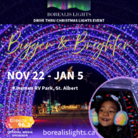 Borealis Lights 2024