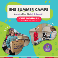 Edmonton Humane Society Summer Camp Thumbnail