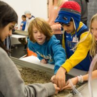 Summer Camps Royal Alberta Museum