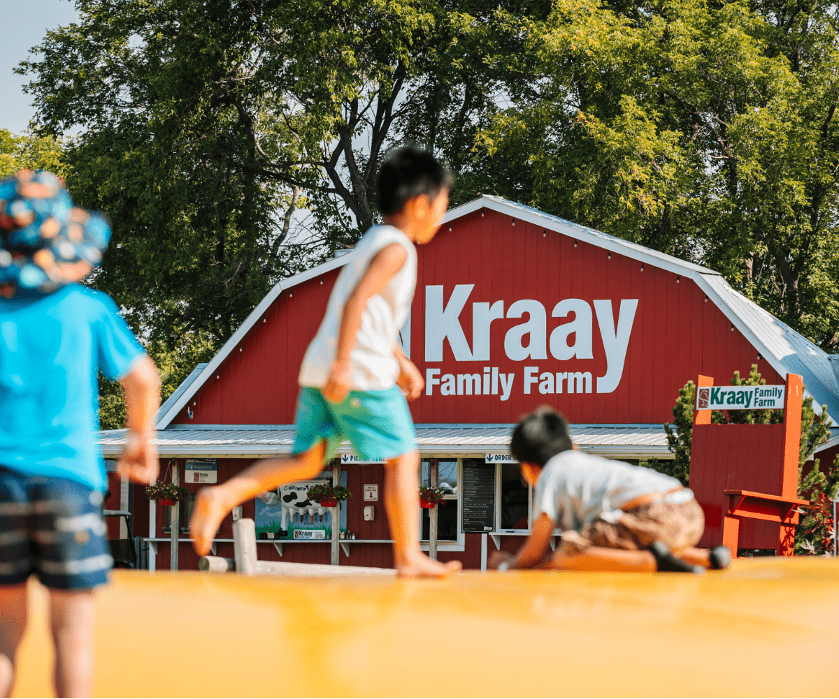 Kraay Family Farm Giant Pillow