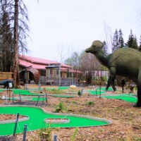 Jurassic Forest Mini Golf