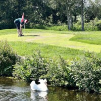 Putting Horse Ranch Mini Golf Spruce Grove