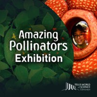 Amazing Pollinators Exhibition TELUS World of Science - Edmonton