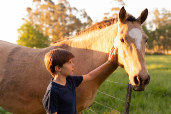 Clip Clop Summer Horseback Riding & Horsemanship Camp 2025