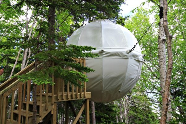 Parks Canada Cocoon Tree Bed