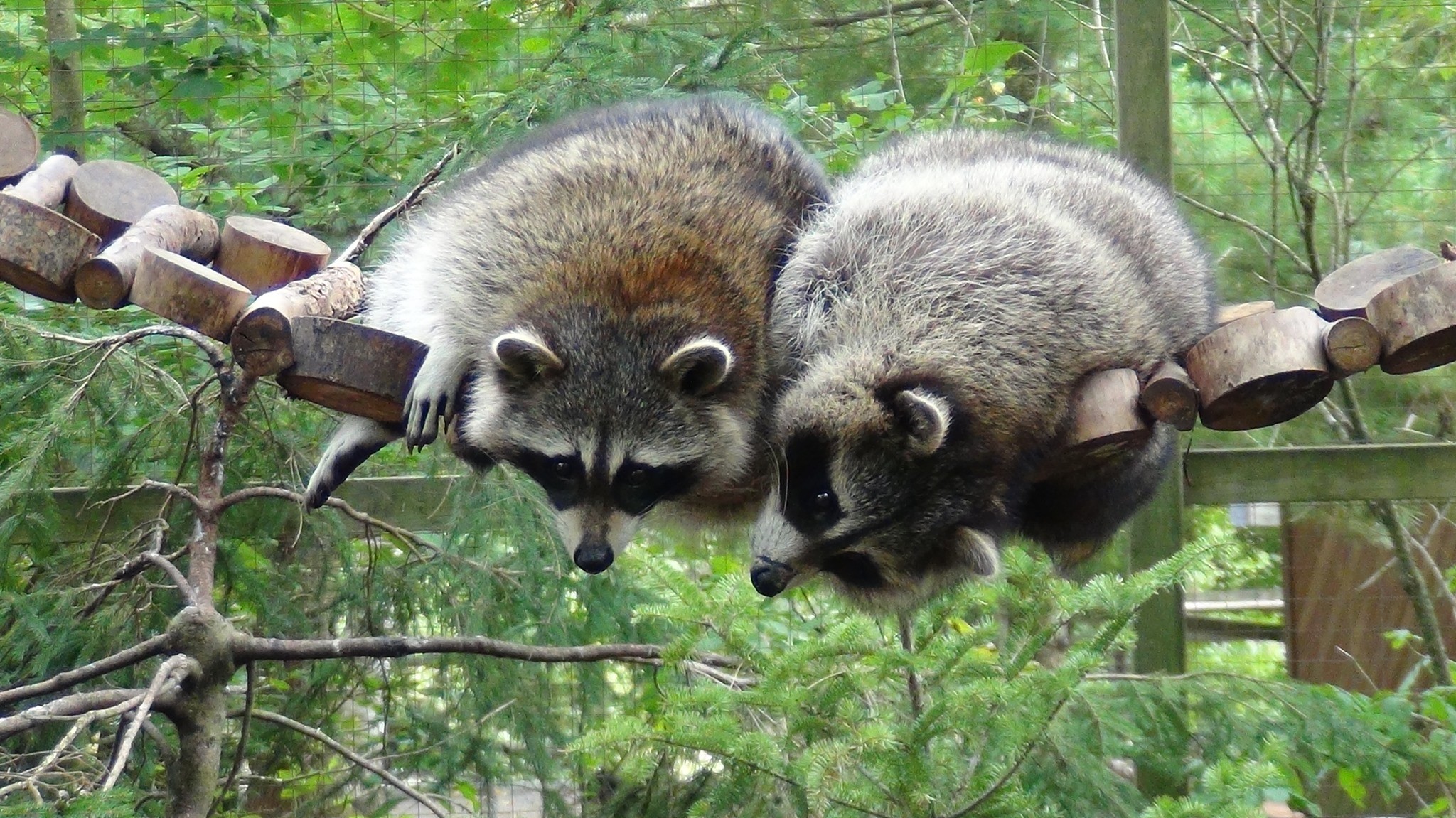 Shubenacadie Provincial Wildlife Park