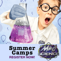 Mad Science Summer Camps (Family Fun Halifax)