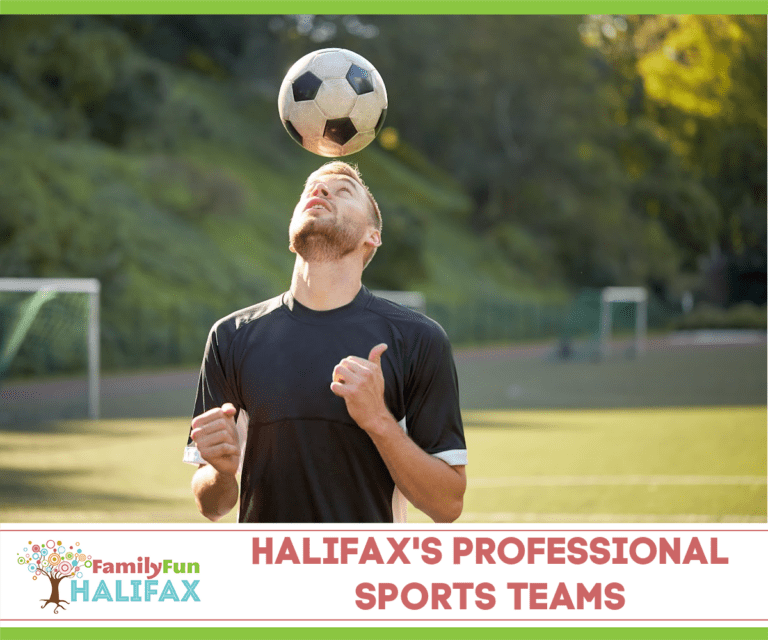 Professional Sports Teams in Halifax - Family Fun Halifax