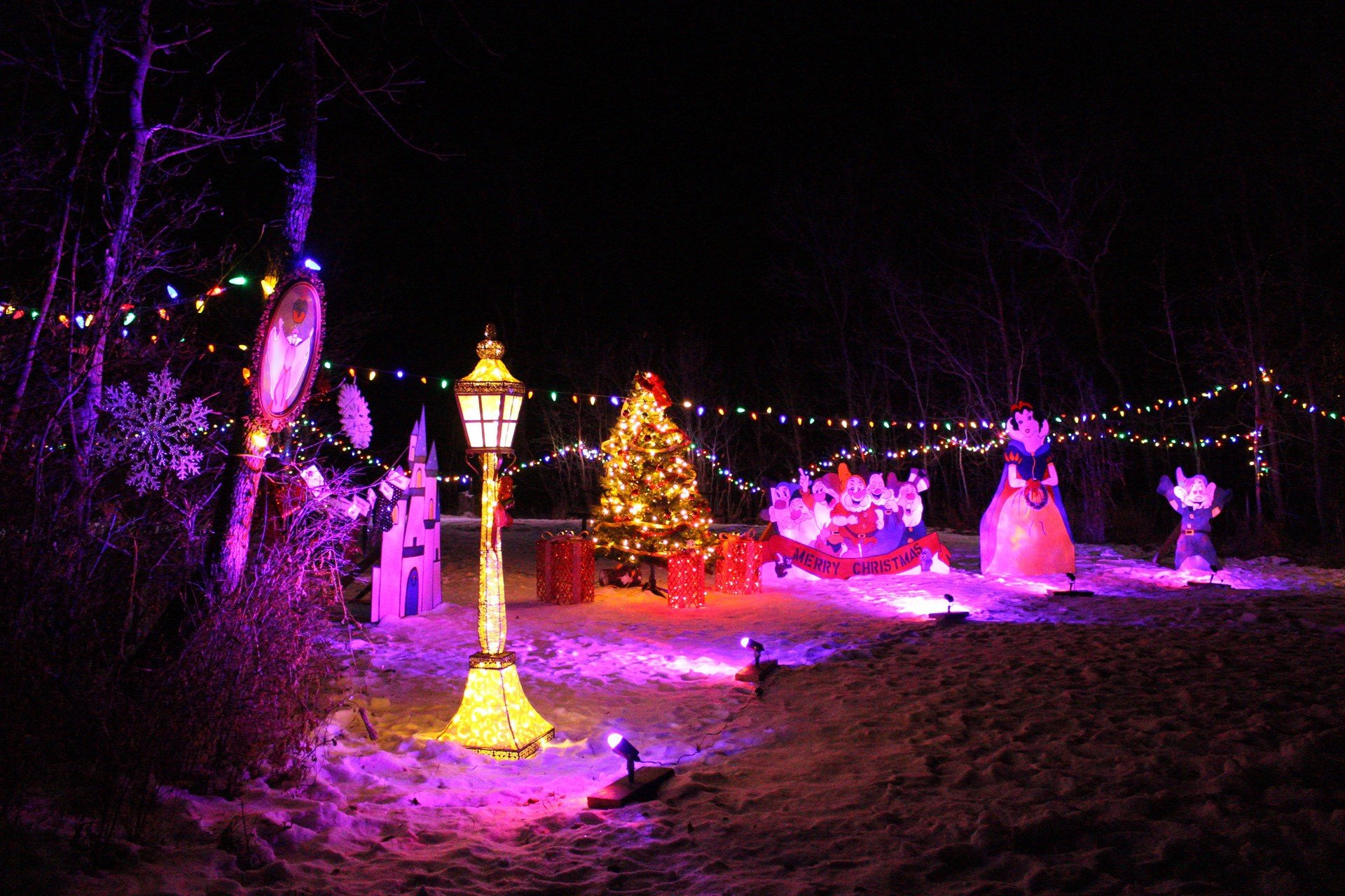 The Pike Lake Festival of Lights