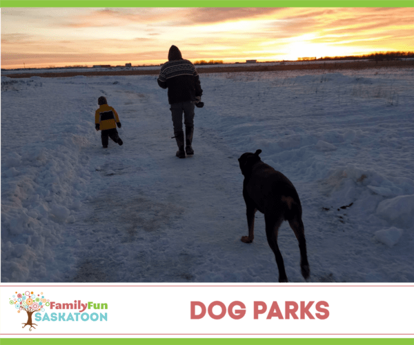 Saskatoon dog parks