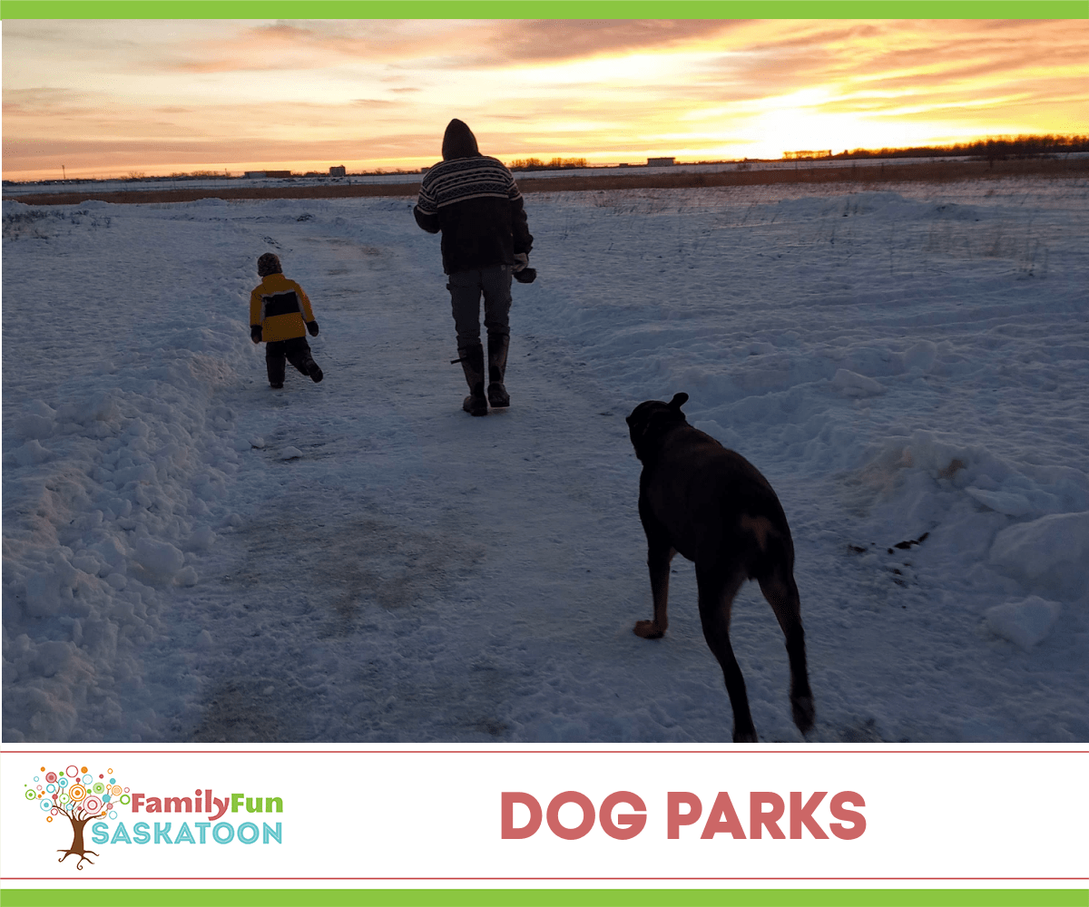 Saskatoon dog parks