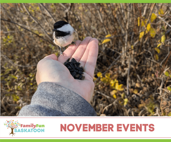 November Saskatoon Event Guide