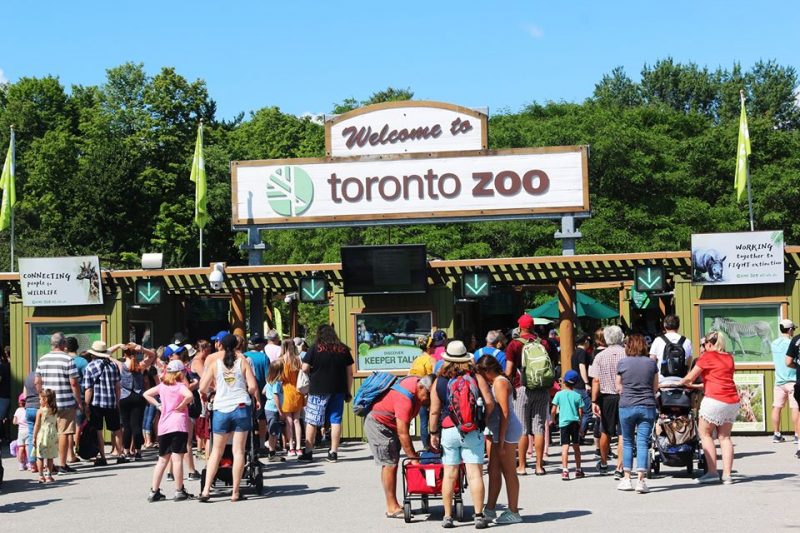 Animals From Around The World at The Toronto Zoo Family Fun Toronto