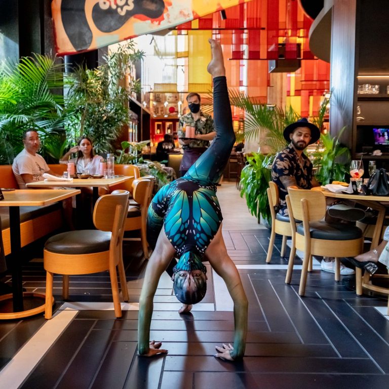 Get Wild at the Multi-Sensory Chotto Matte Jungle Brunch | Family Fun ...