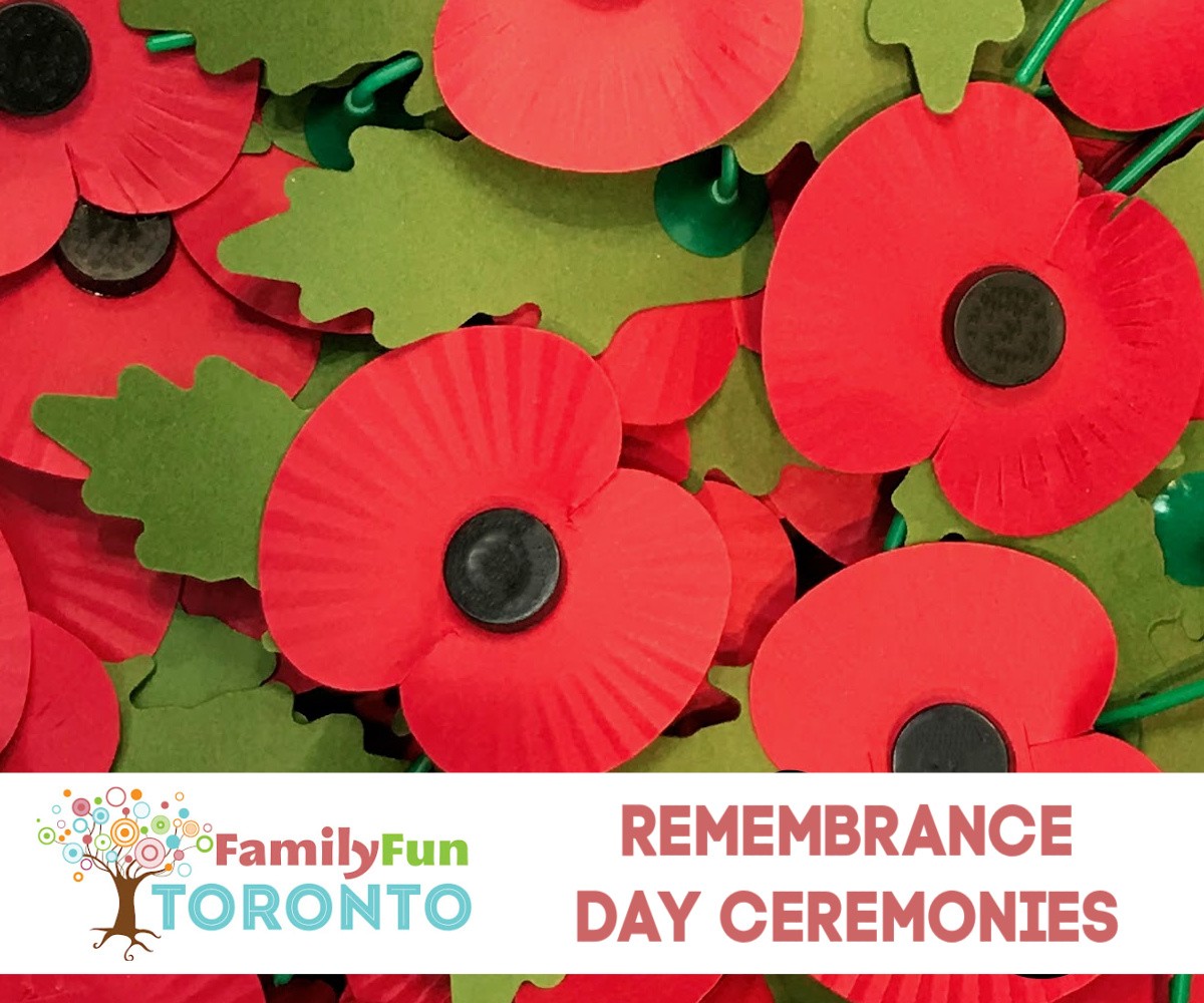 Veterans canada remembrance day