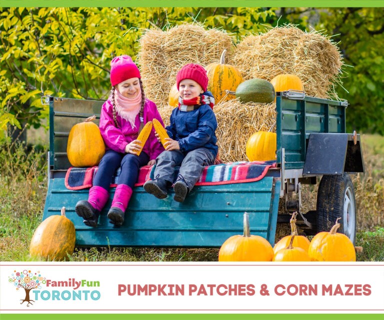 Guide To Pumpkin Patches Corn Mazes Hot Sex Picture 