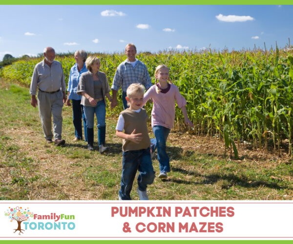 Pumpkin Patches Corn Mazes