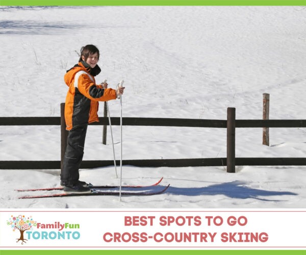 Cross-Country Skiing