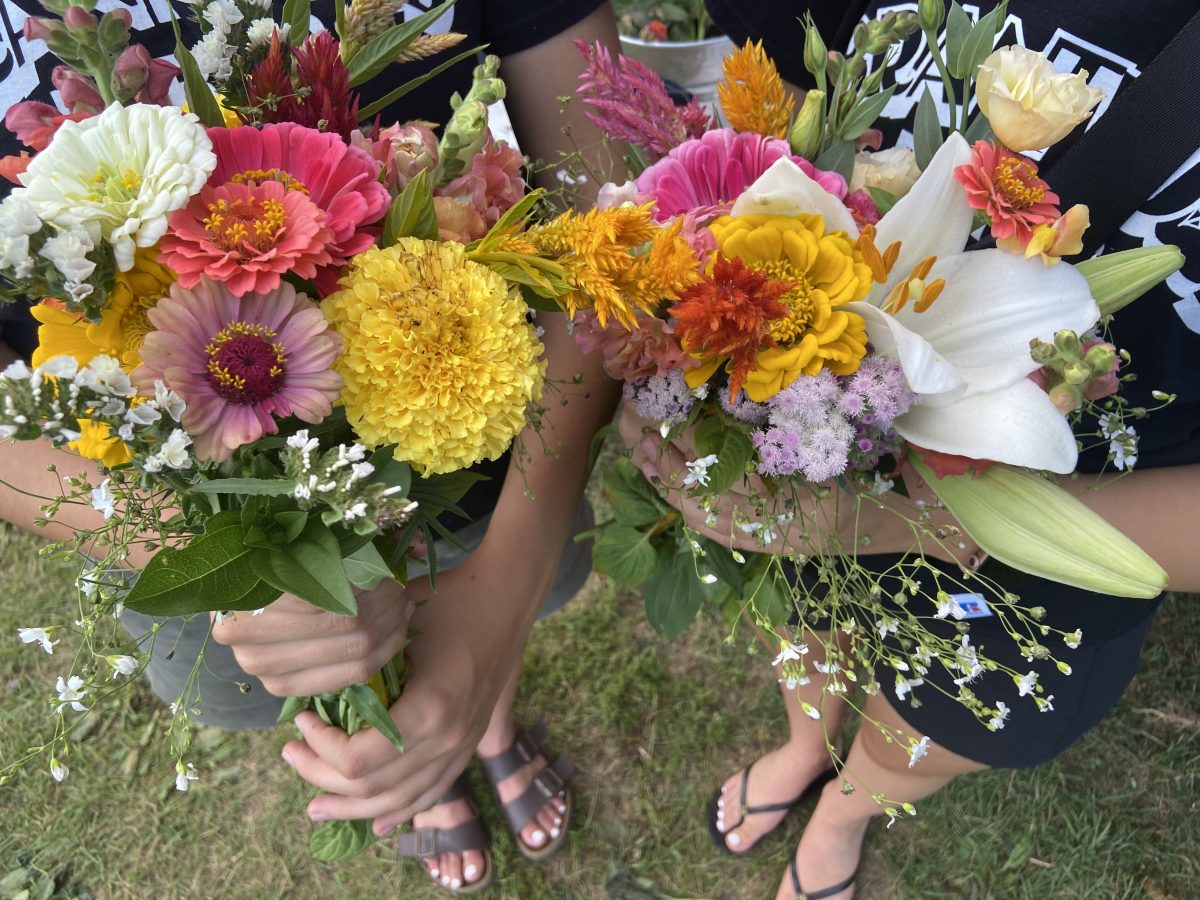 Brantwood Farms - Flower Picking (Family Fun Toronto)