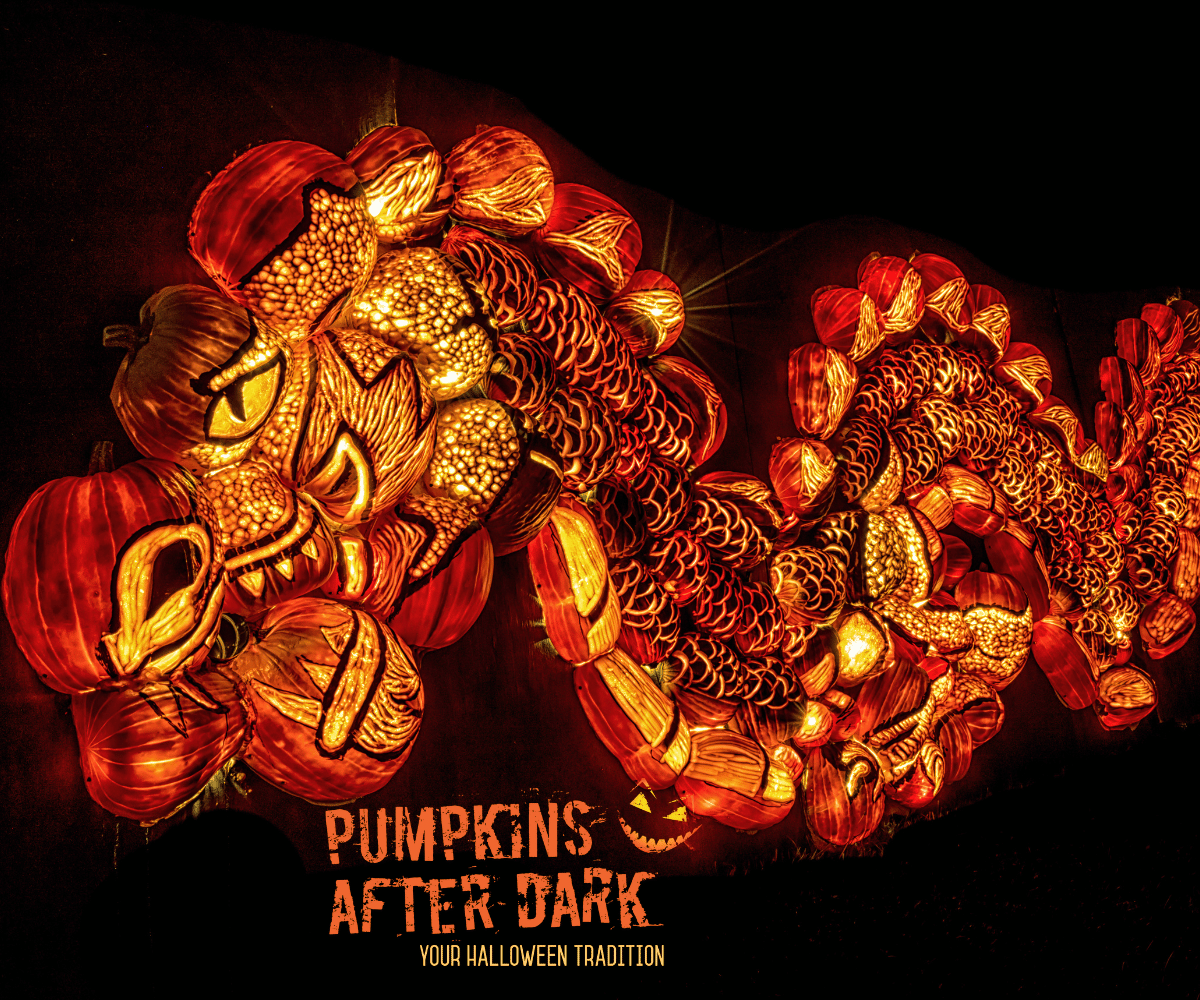 Pumpkins After Dark Dragon