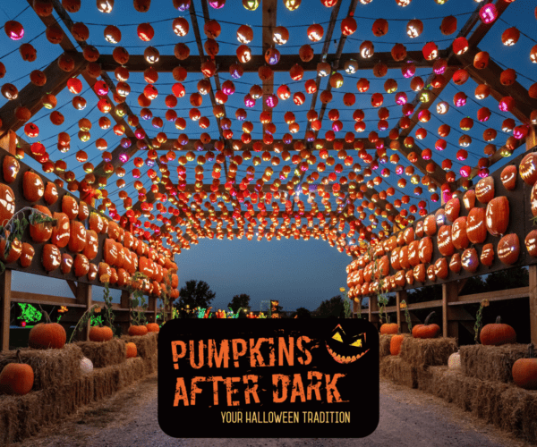 Pumpkins After Dark New